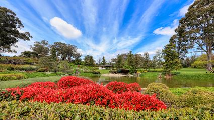 Japanese Garden - Cowra 